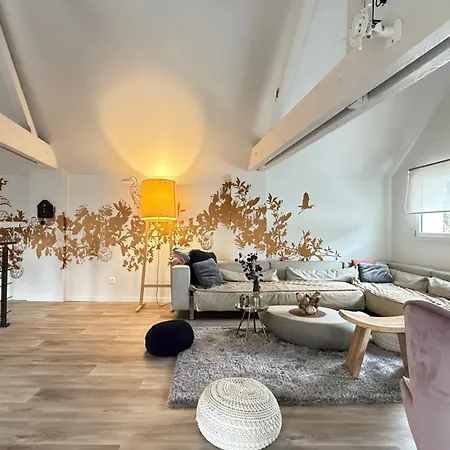 Maison Cathedrale - Ancien Atelier D'artiste Contemporain 펜션 *