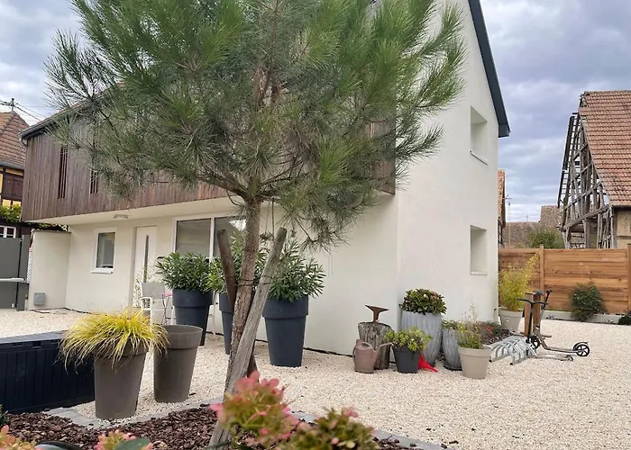 Maison Cathedrale - Ancien Atelier D'artiste Contemporain *