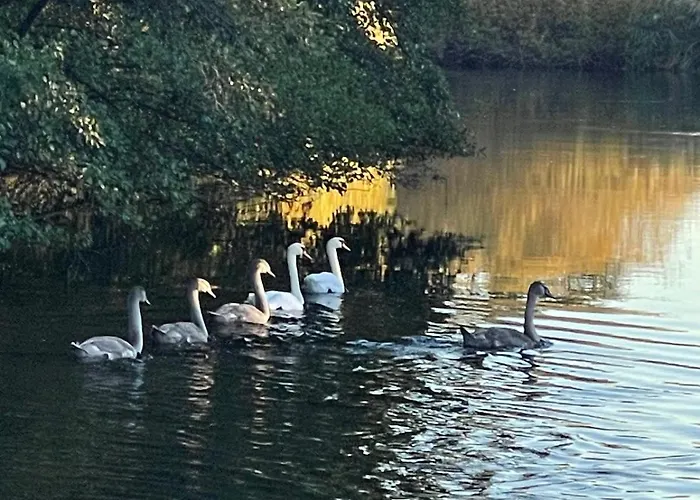 Maison Cathedrale - Ancien Atelier D'artiste Contemporain Nordhouse