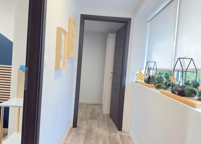 Maison Cathedrale - Ancien Atelier D'artiste Contemporain *